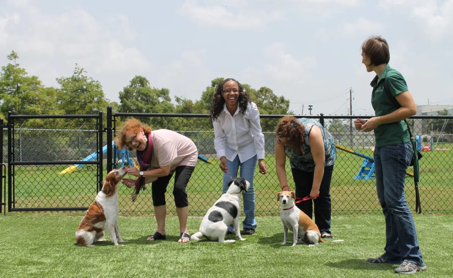 Clients in puppy class at Rover Oaks Pet Resort.